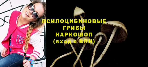 spice Навашино