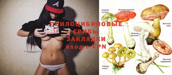 стаф Нефтекумск