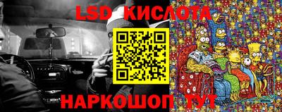 прущие грибы Балаково