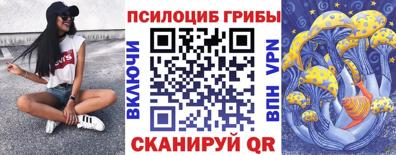 Галлюциногенные грибы Psilocybine cubensis кракен ССЫЛКА Котовск