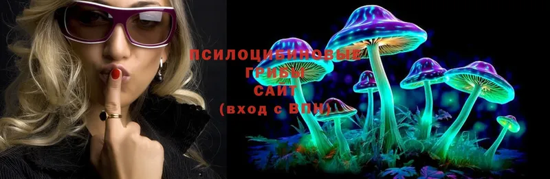 Галлюциногенные грибы Psilocybe  Котовск 