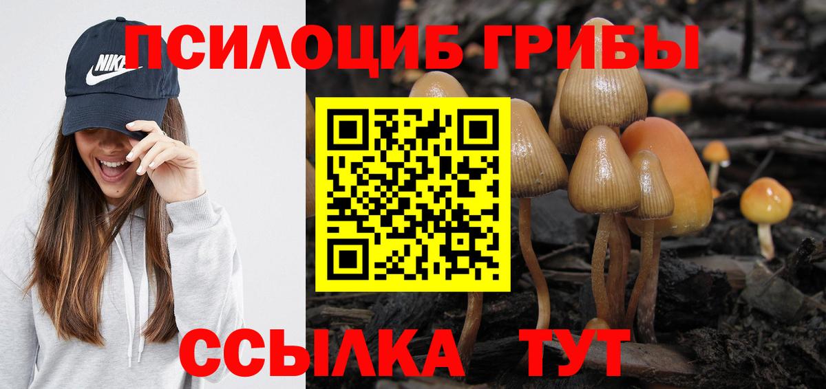 Галлюциногенные грибы прущие грибы Котовск