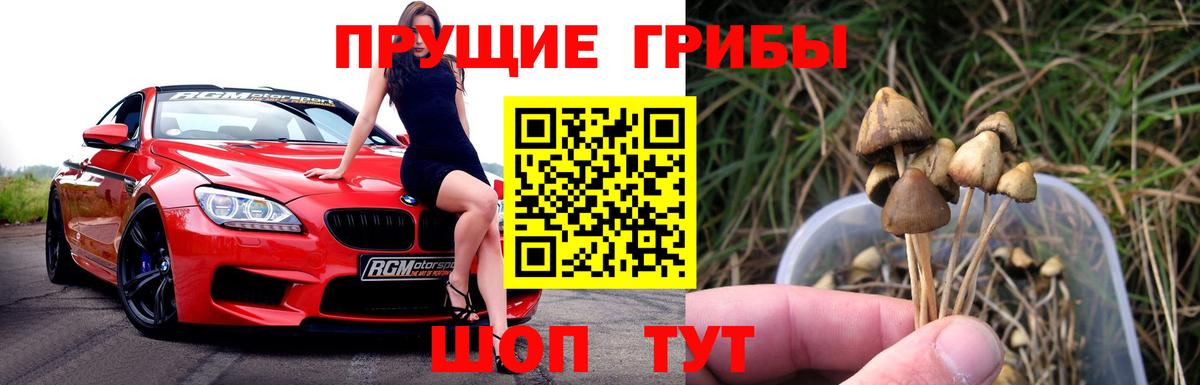 Псилоцибиновые грибы Psilocybe  Галлюциногенные грибы ЛСД  Вход с VPN  Котовск 