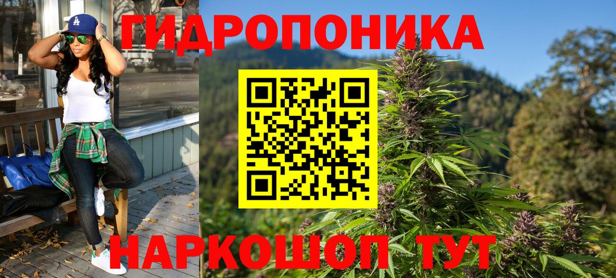 Бошки Шишки тримм  Вход с VPN  Марихуана MAZAR  Котовск  Канабис индика  Каннабис VHQ 